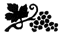 Links