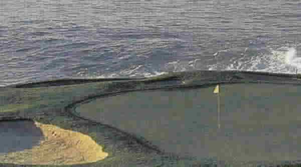 Neo-Savannah Grassland