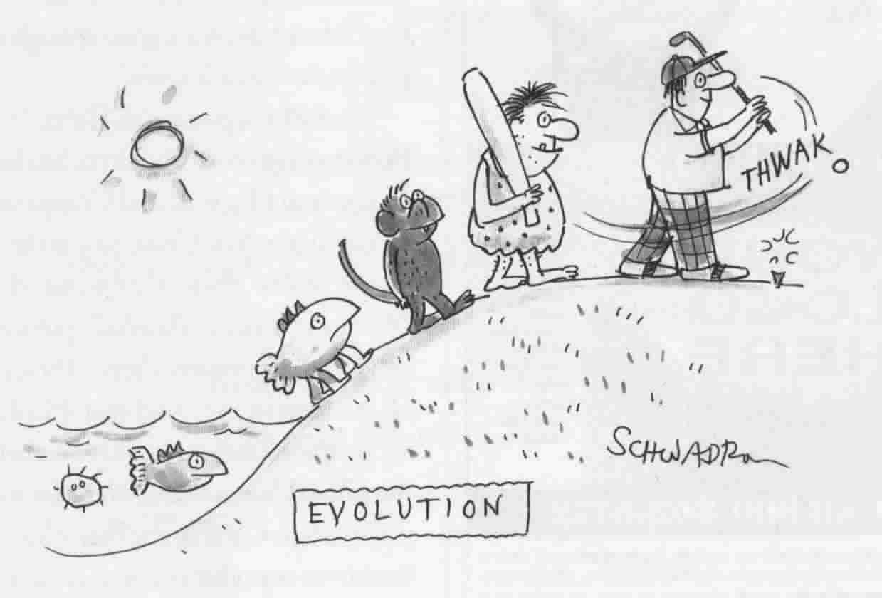 The End of Evolution