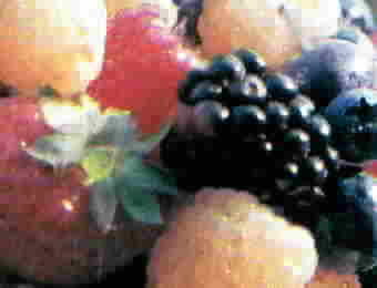 The Fruit Connection