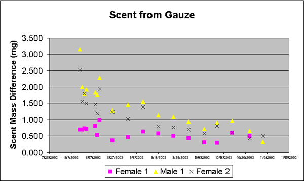 Figure 3 shows 
              scent weight dissipation.