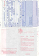 1996_04_11_US_MX_Customs_Form.jpg