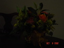2002_10_07_DADFlowersFromIBM_DSC00127.JPG